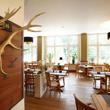 Meeressterne Idyll Am Wolgastsee