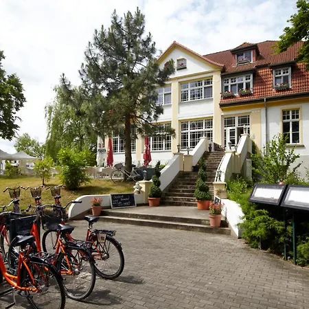 Meeressterne Idyll Am Wolgastsee