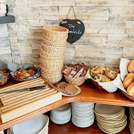 Meeressterne Idyll Am Wolgastsee