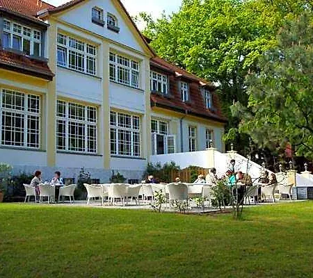 Meeressterne Idyll Am Wolgastsee