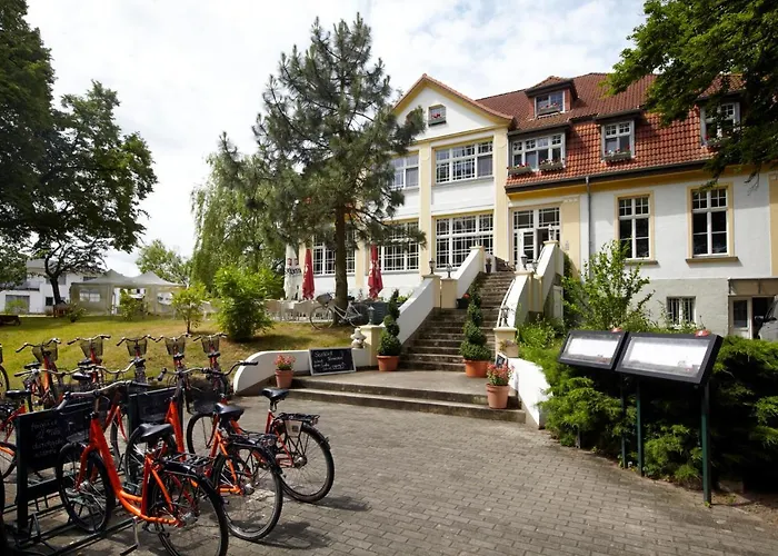Meeressterne Idyll Am Wolgastsee
